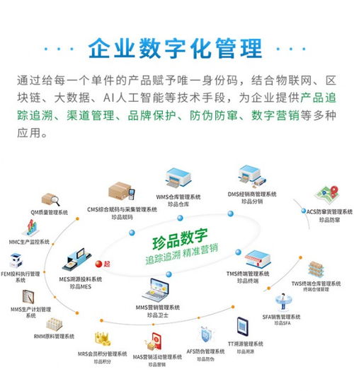 賦能管理，驅動未來 珍品數字發布全新企業數字化解決方案與數據處理服務
